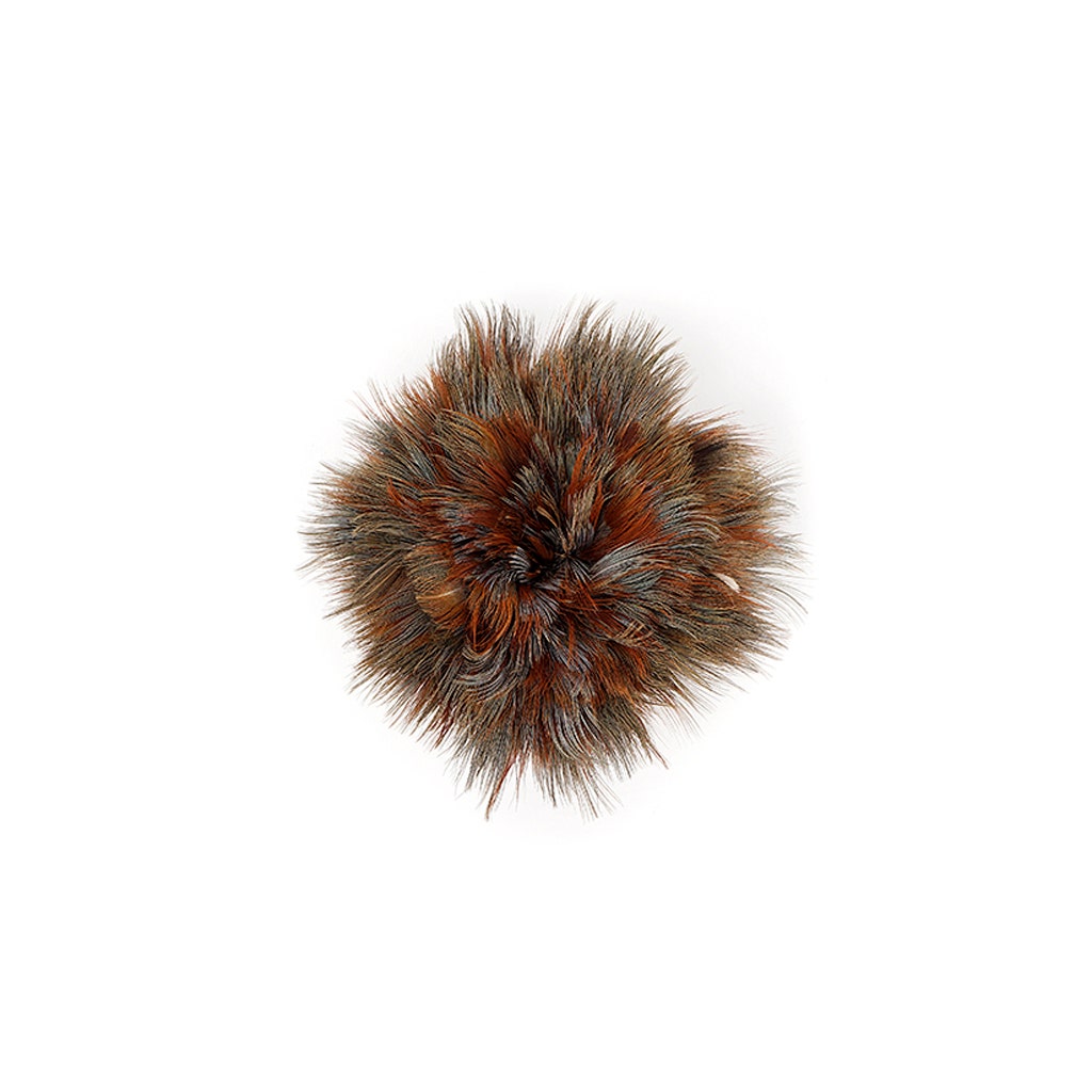 Ringneck Plumage - Blue Almond - Natural - 3 - 5"