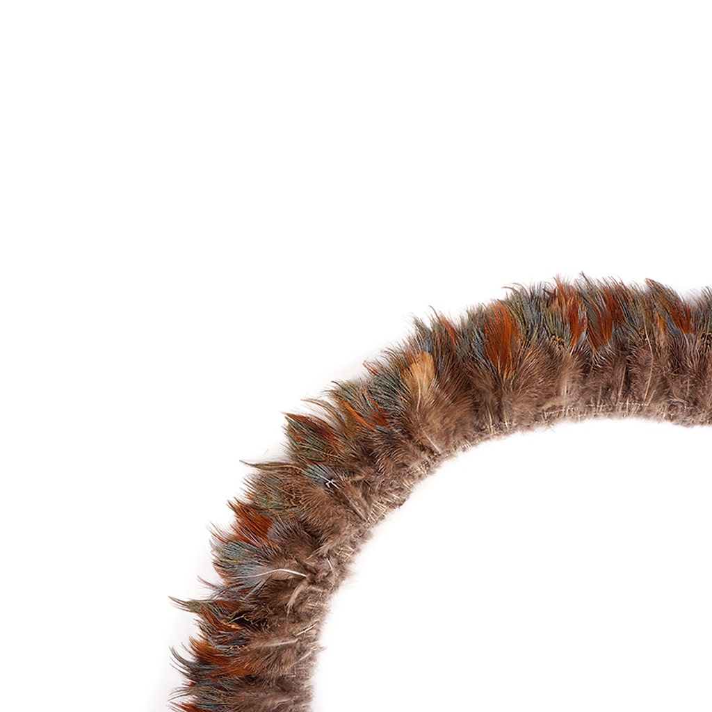 Ringneck Plumage - Blue Almond - Natural - 3 - 5"