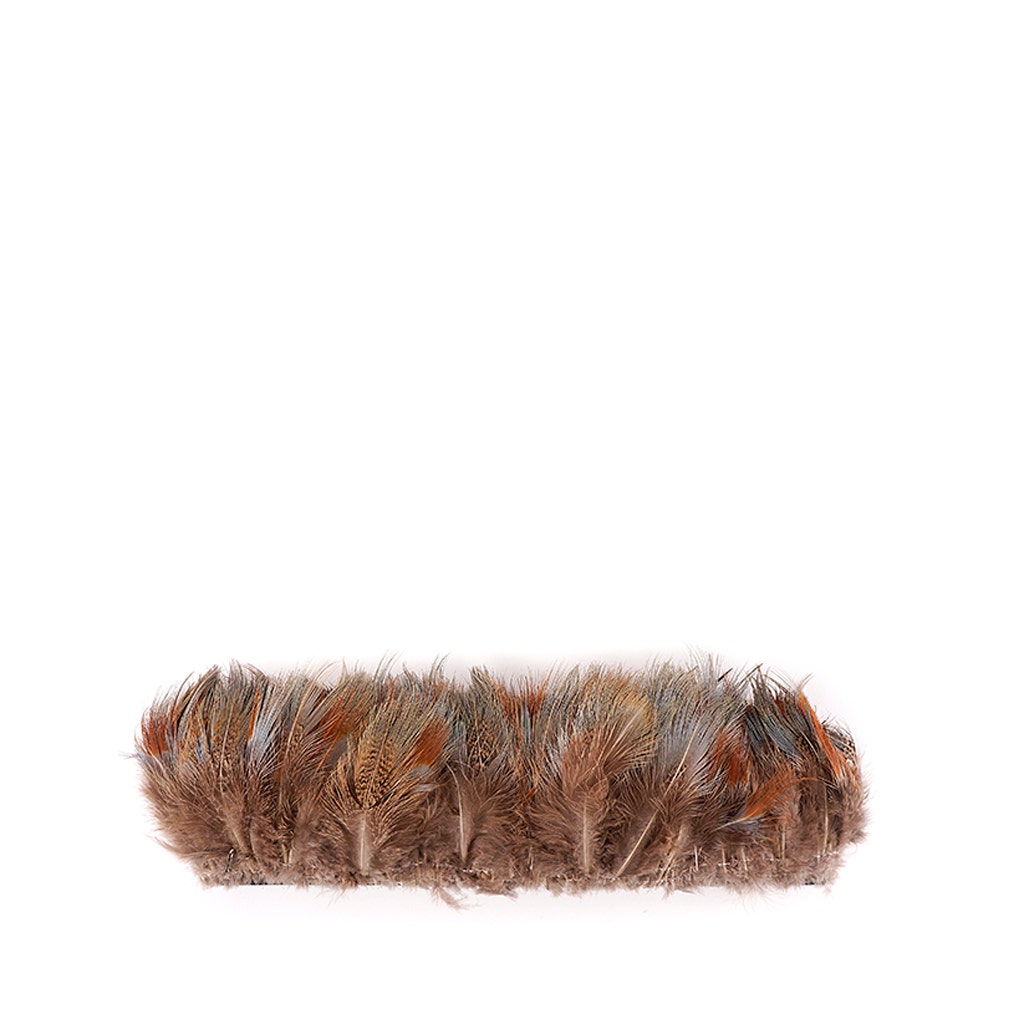 Ringneck Plumage - Blue Almond - Natural - 3 - 5"