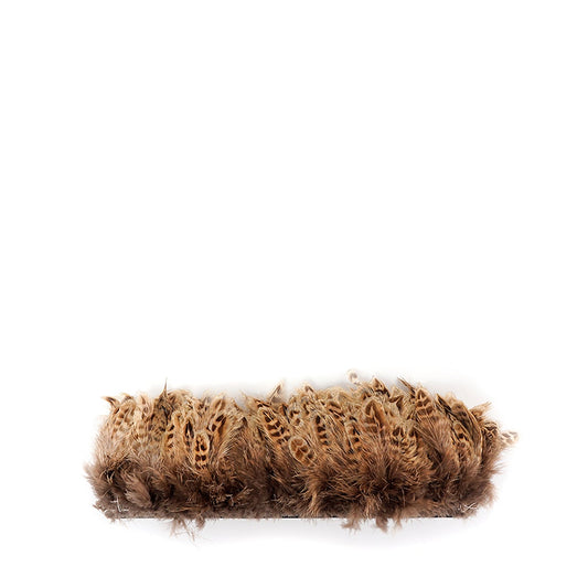 Ringneck Pheasant Plumage - Natural