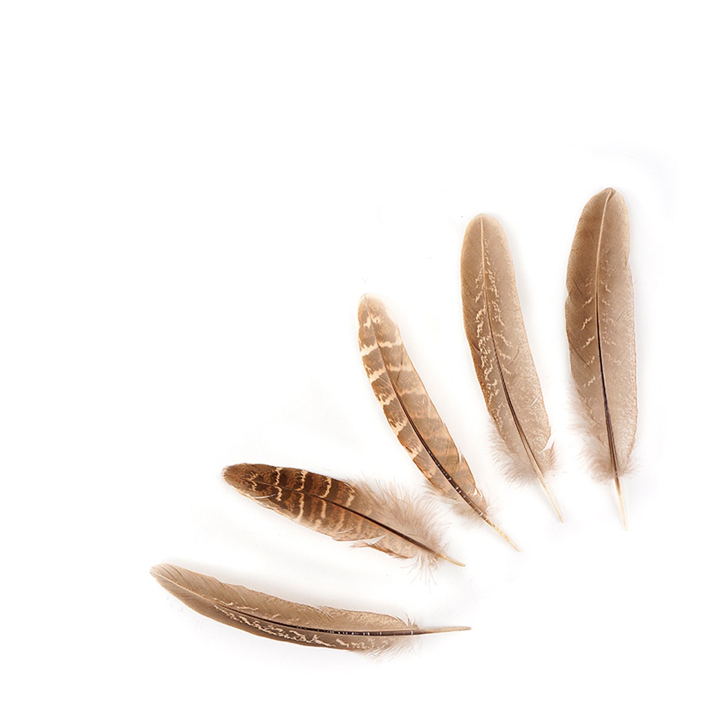 Ringneck Feathers Pheasant Rounds - Natural