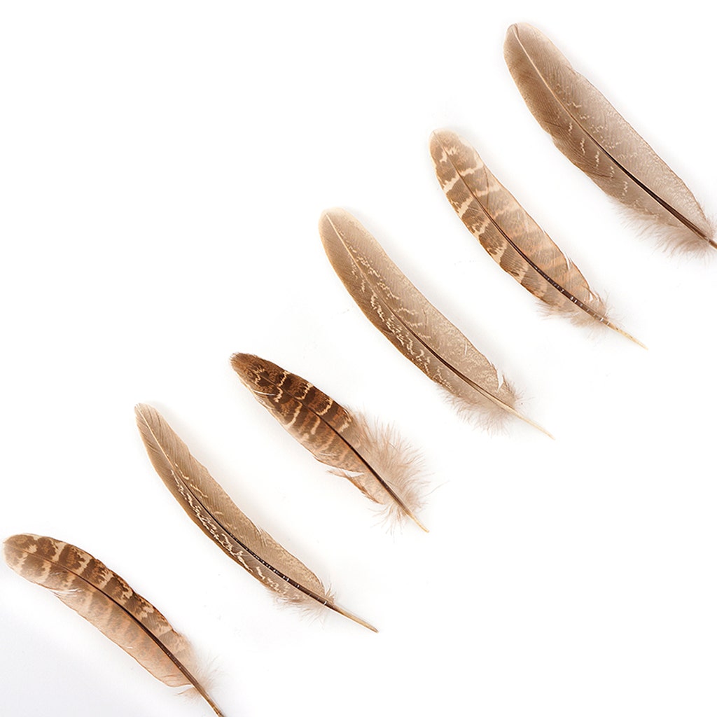 Ringneck Feathers Pheasant Rounds - Natural