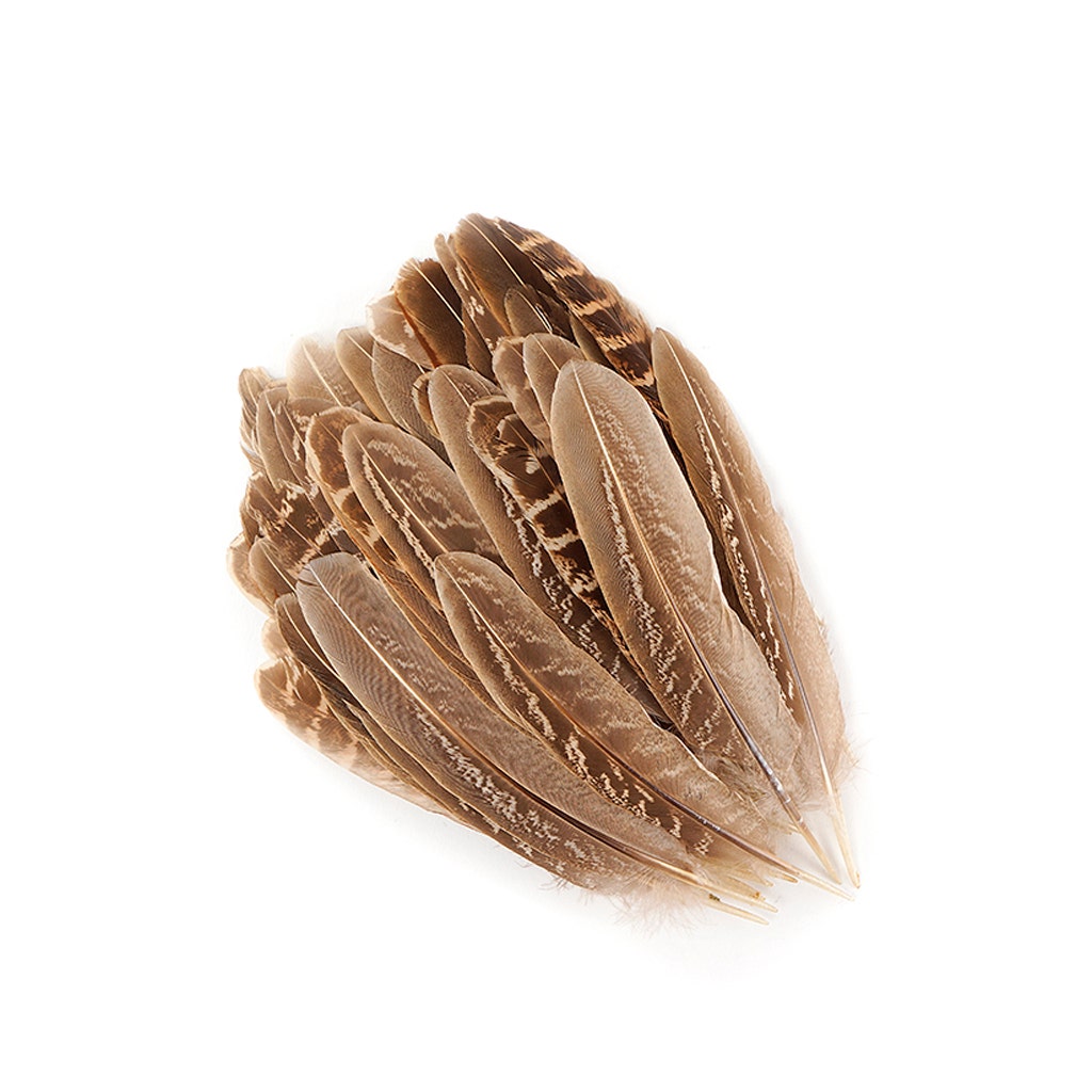 Ringneck Feathers Pheasant Rounds - Natural