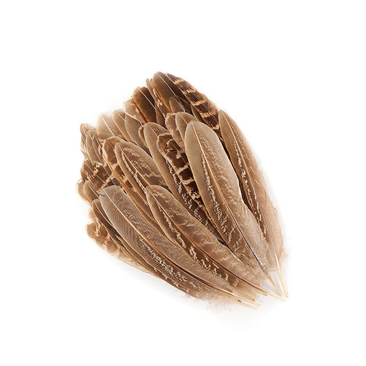 Ringneck Feathers Pheasant Rounds - Natural