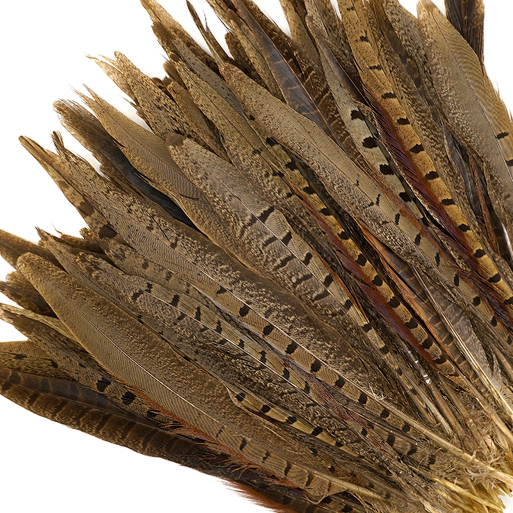 Ringneck Pheasant Tails - Natural - 8 - 10"  (100pcs)