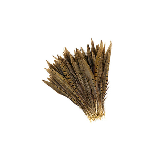 Ringneck Pheasant Tails - Natural - 8 - 10"  (100pcs)