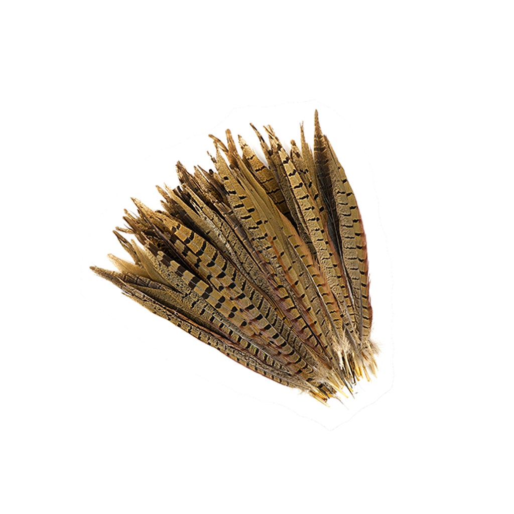 Ringneck Pheasant Tails - Natural - 10 - 12"  (100pcs)