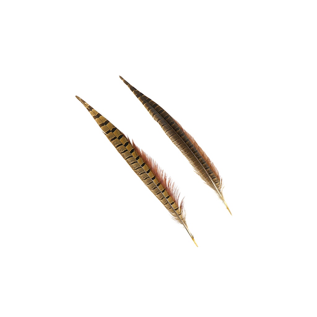 Ringneck Pheasant Tails - Natural - 12 - 14"  (100pcs)