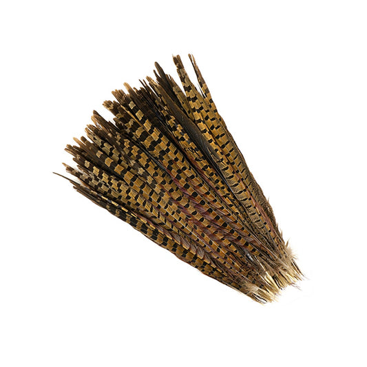 Ringneck Pheasant Tails - Natural - 14 - 16"