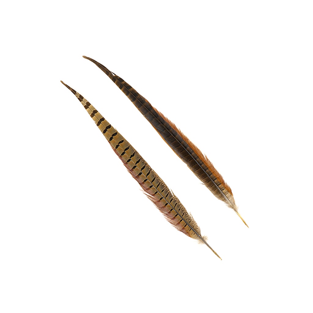 Ringneck Pheasant Tails - Natural - 16 - 18"  (100pcs)