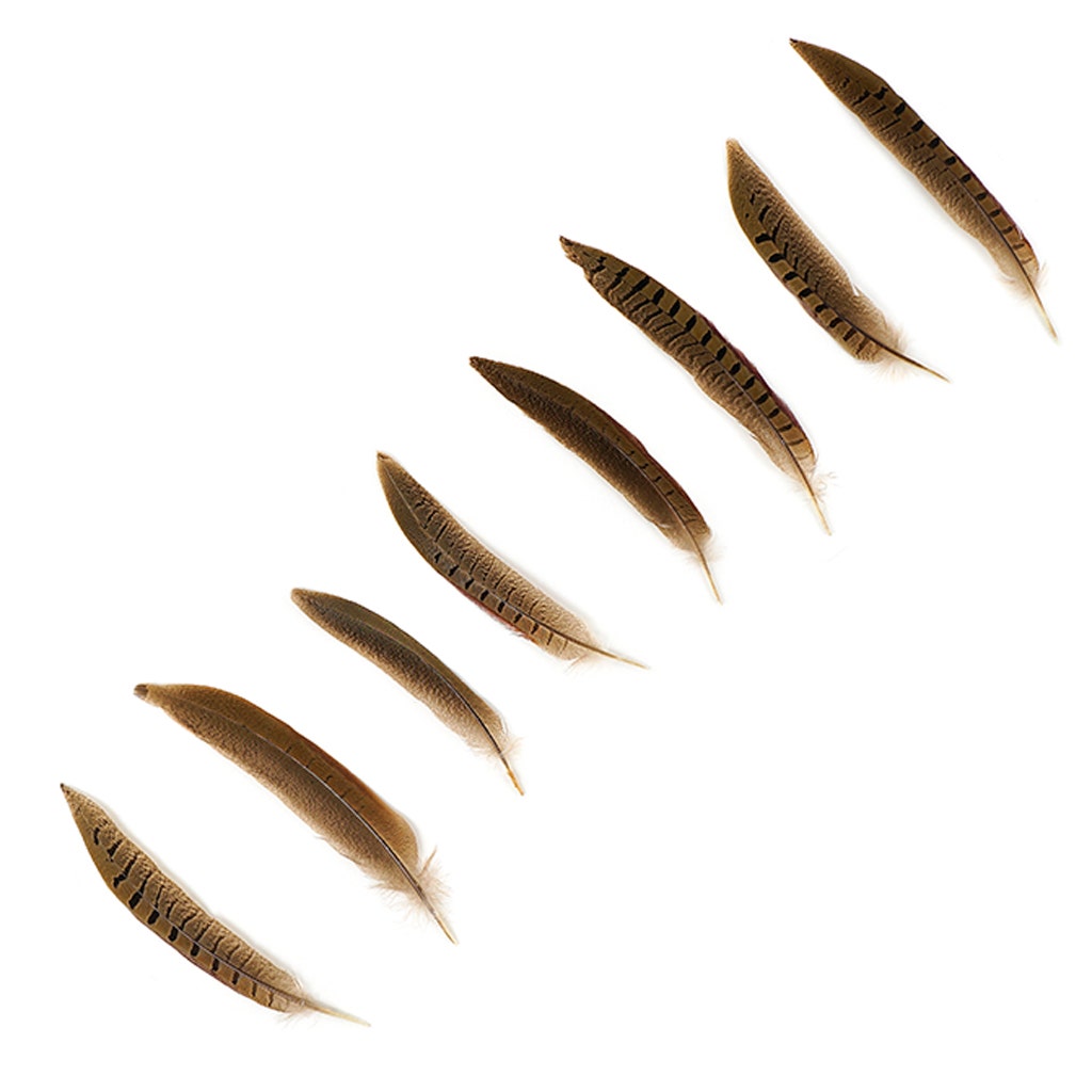 Ringneck Pheasant Tails - Natural - 6 - 8"  (100pcs)