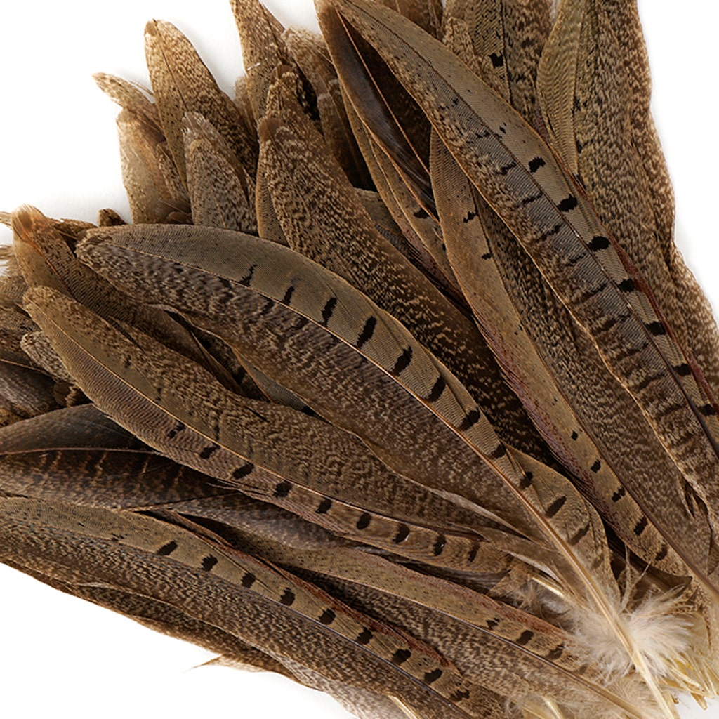Ringneck Pheasant Tails - Natural - 6 - 8"  (100pcs)