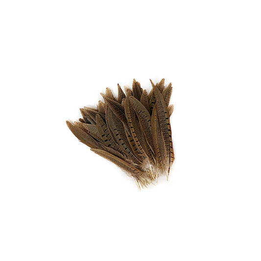 Ringneck Pheasant Tails - Natural - 6 - 8"  (100pcs)