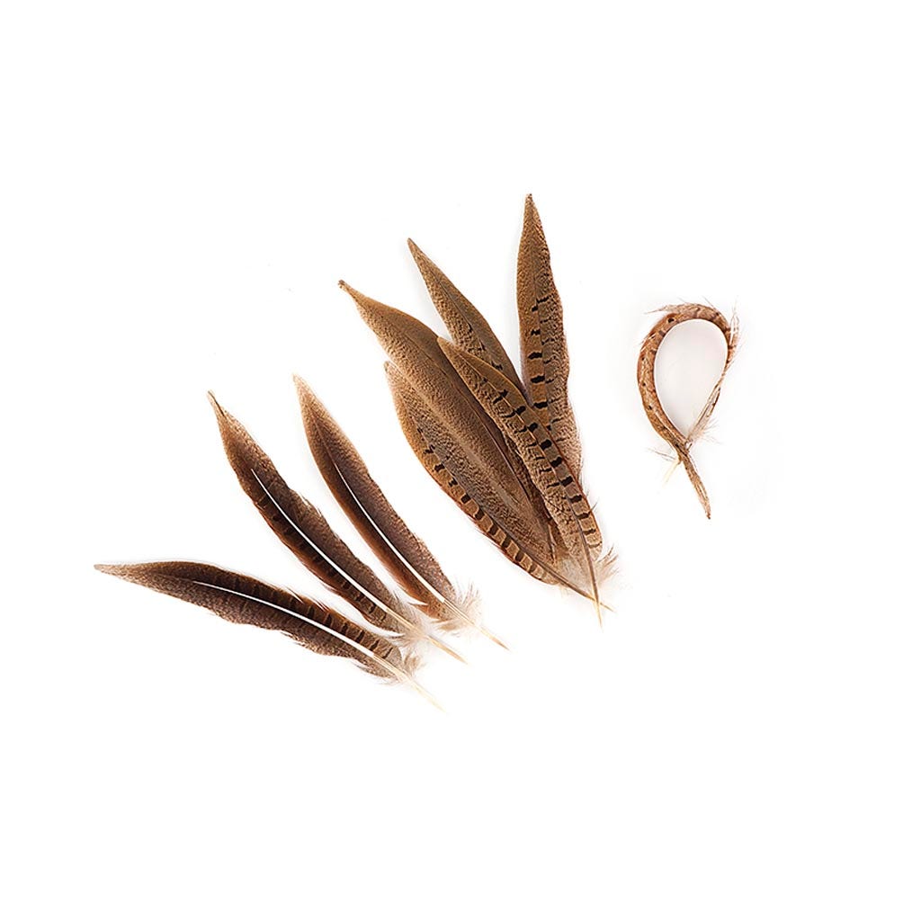 Ringneck Pheasant Tails Parried - Natural-8-10"
