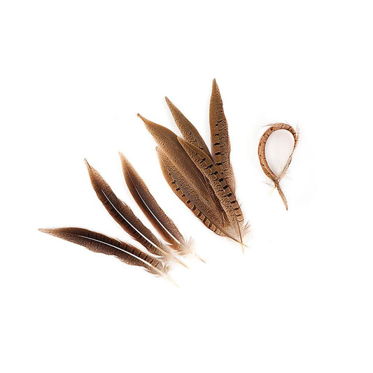 Ringneck Pheasant Tails Parried - Natural-8-10"