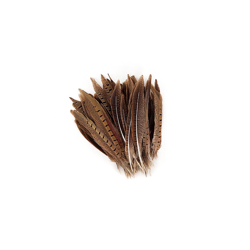 Ringneck Pheasant Tails Parried - Natural-6-8"