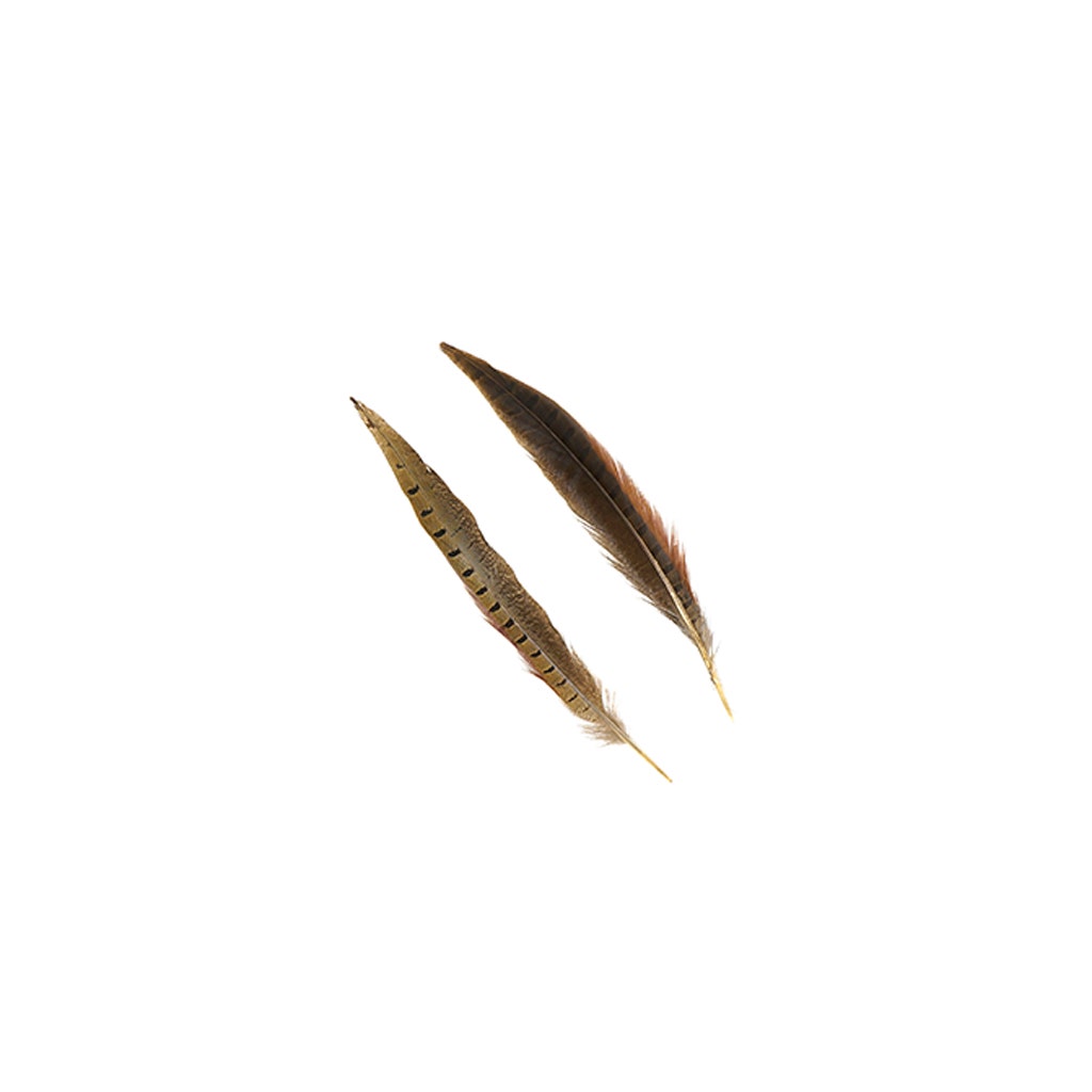 10 PC/PKG RINGNECK PHEASANT TAILS 8-10" - NATURAL