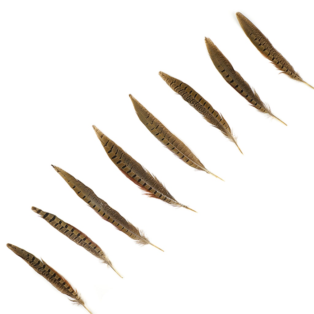 10 PC/PKG RINGNECK PHEASANT TAILS 8-10" - NATURAL