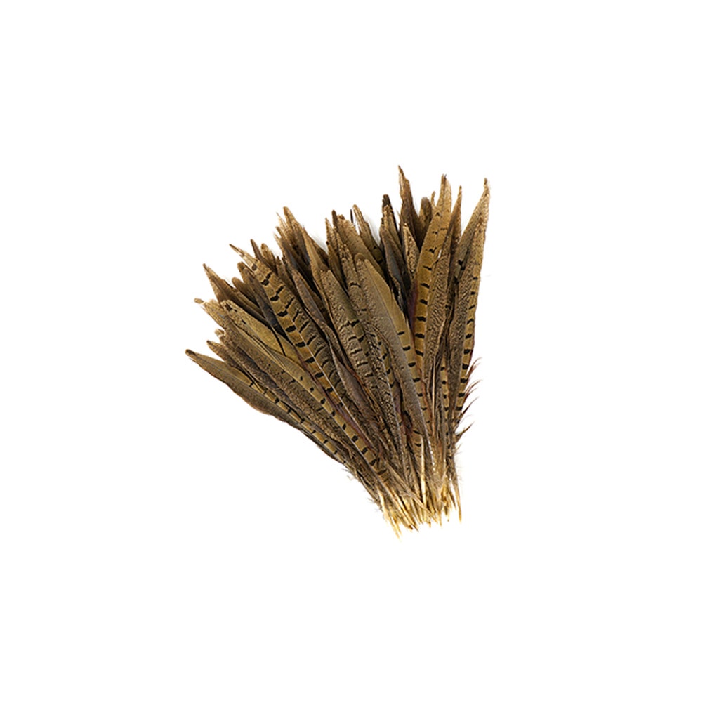 10 PC/PKG RINGNECK PHEASANT TAILS 8-10" - NATURAL