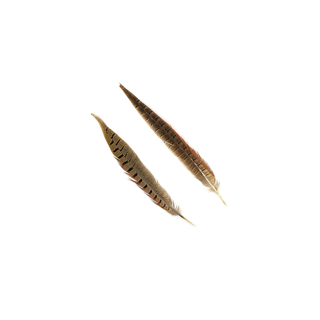 10 PC/PKG RINGNECK PHEASANT TAILS 10-12" - NATURAL