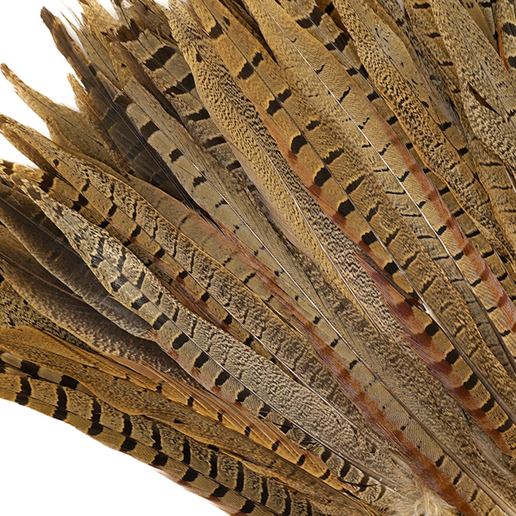 10 PC/PKG RINGNECK PHEASANT TAILS 10-12" - NATURAL
