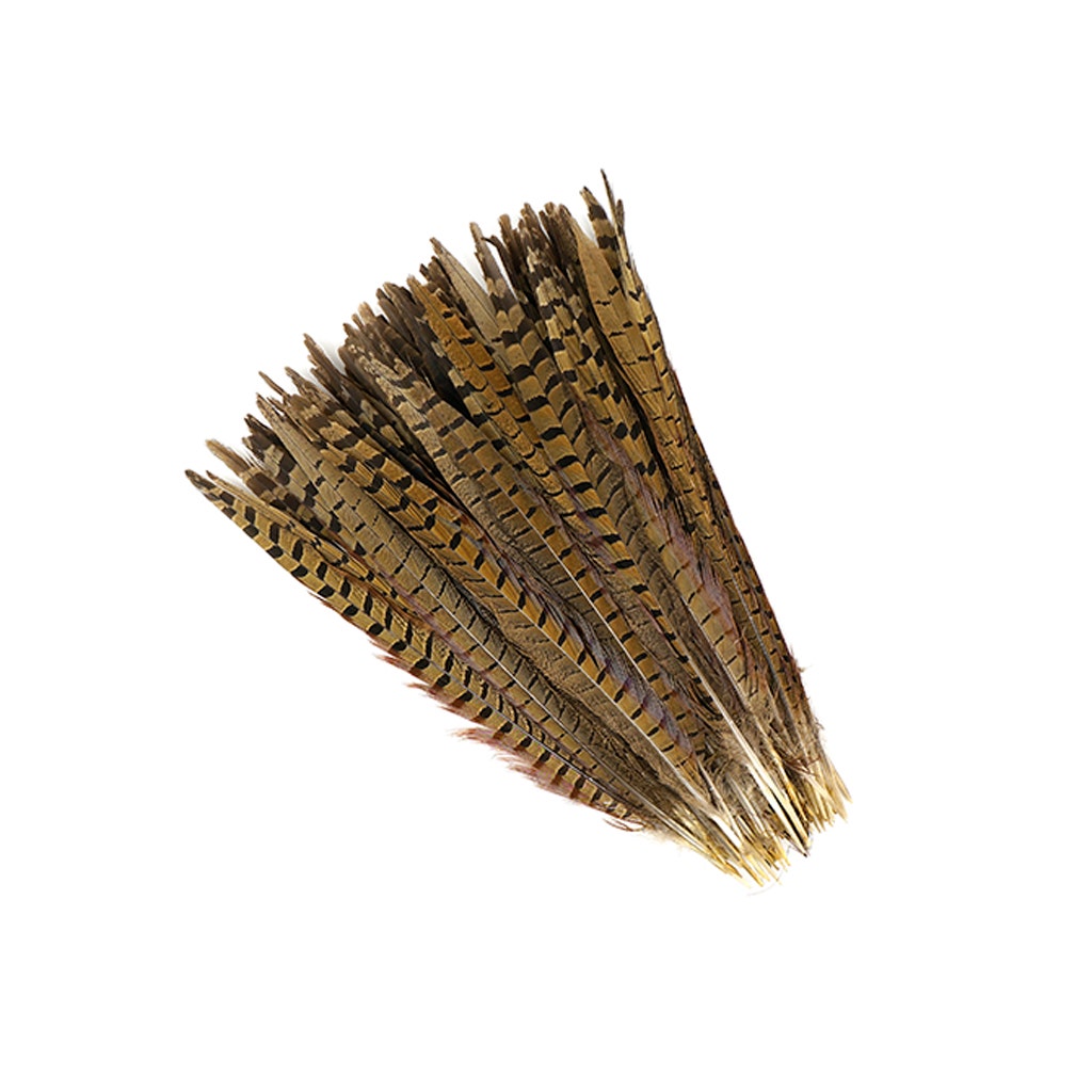 10 PC/PKG RINGNECK PHEASANT TAILS 12-14" - NATURAL