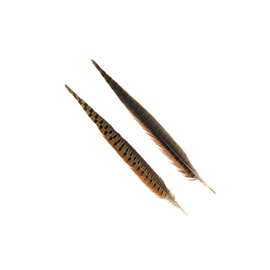 10 PC/PKG RINGNECK PHEASANT TAILS 14-16" - NATURAL