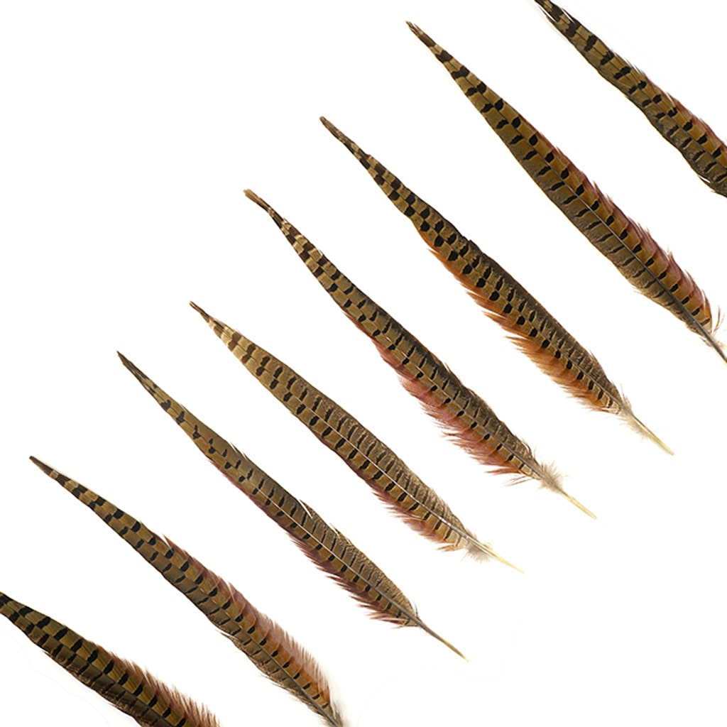 10 PC/PKG RINGNECK PHEASANT TAILS 14-16" - NATURAL