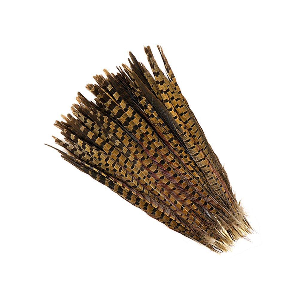 10 PC/PKG RINGNECK PHEASANT TAILS 14-16" - NATURAL