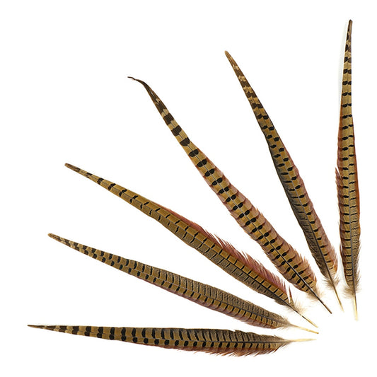 10 PC/PKG RINGNECK PHEASANT TAILS 18-20" - NATURAL