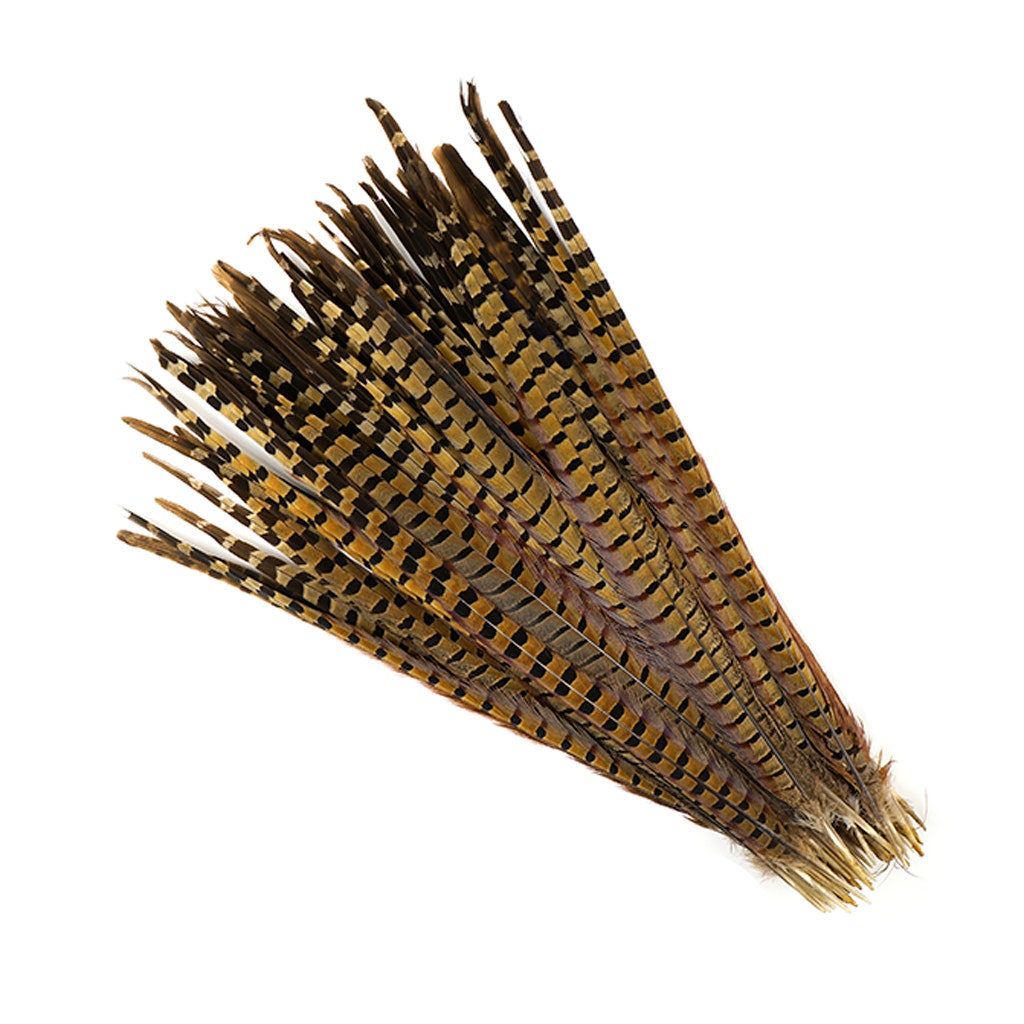 10 PC/PKG RINGNECK PHEASANT TAILS 18-20" - NATURAL