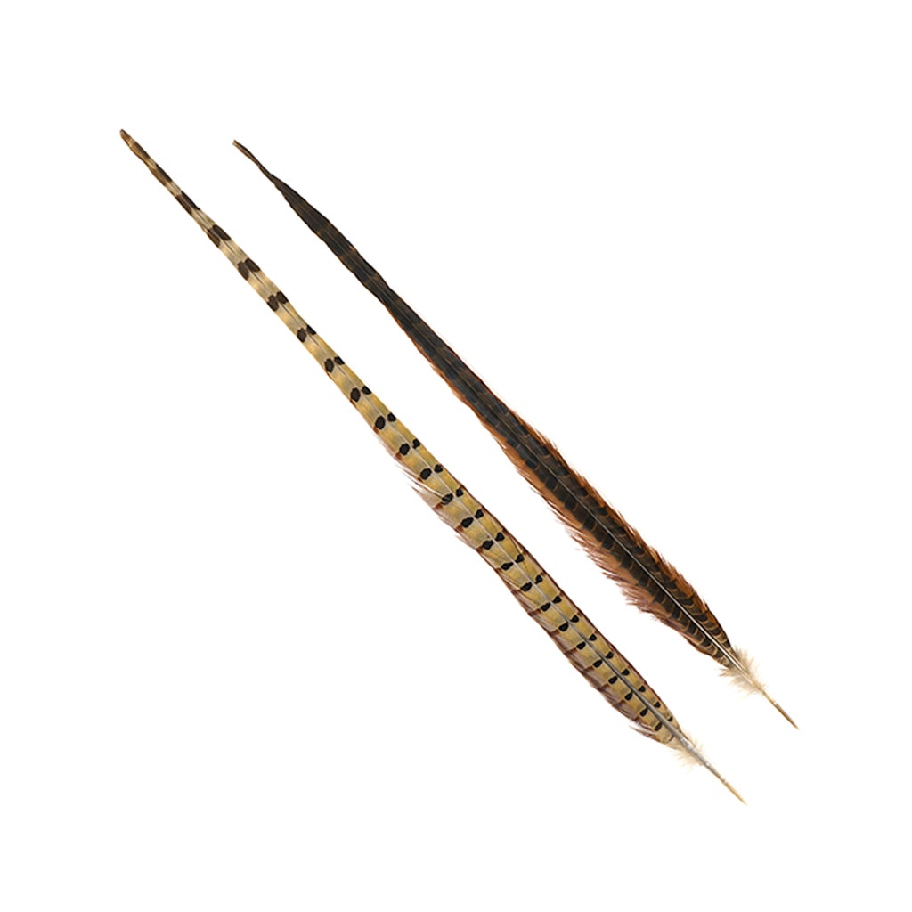 10 PC/PKG Ringneck Pheasant Tails 20-24" - NATURAL