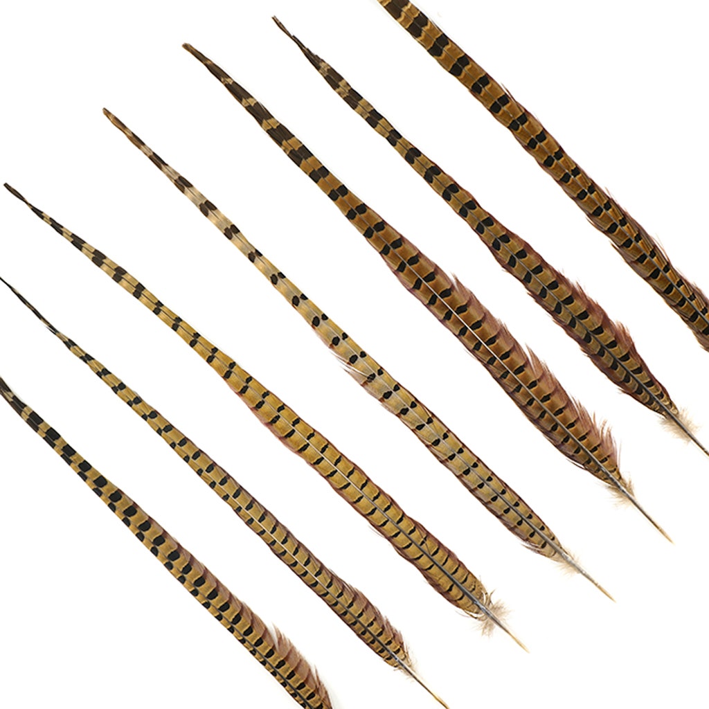 10 PC/PKG Ringneck Pheasant Tails 20-24" - NATURAL