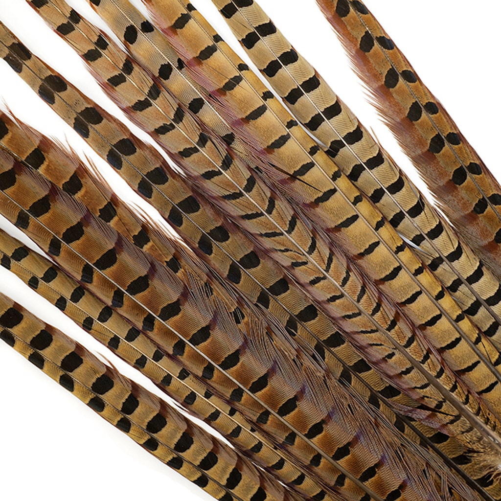 10 PC/PKG Ringneck Pheasant Tails 20-24" - NATURAL