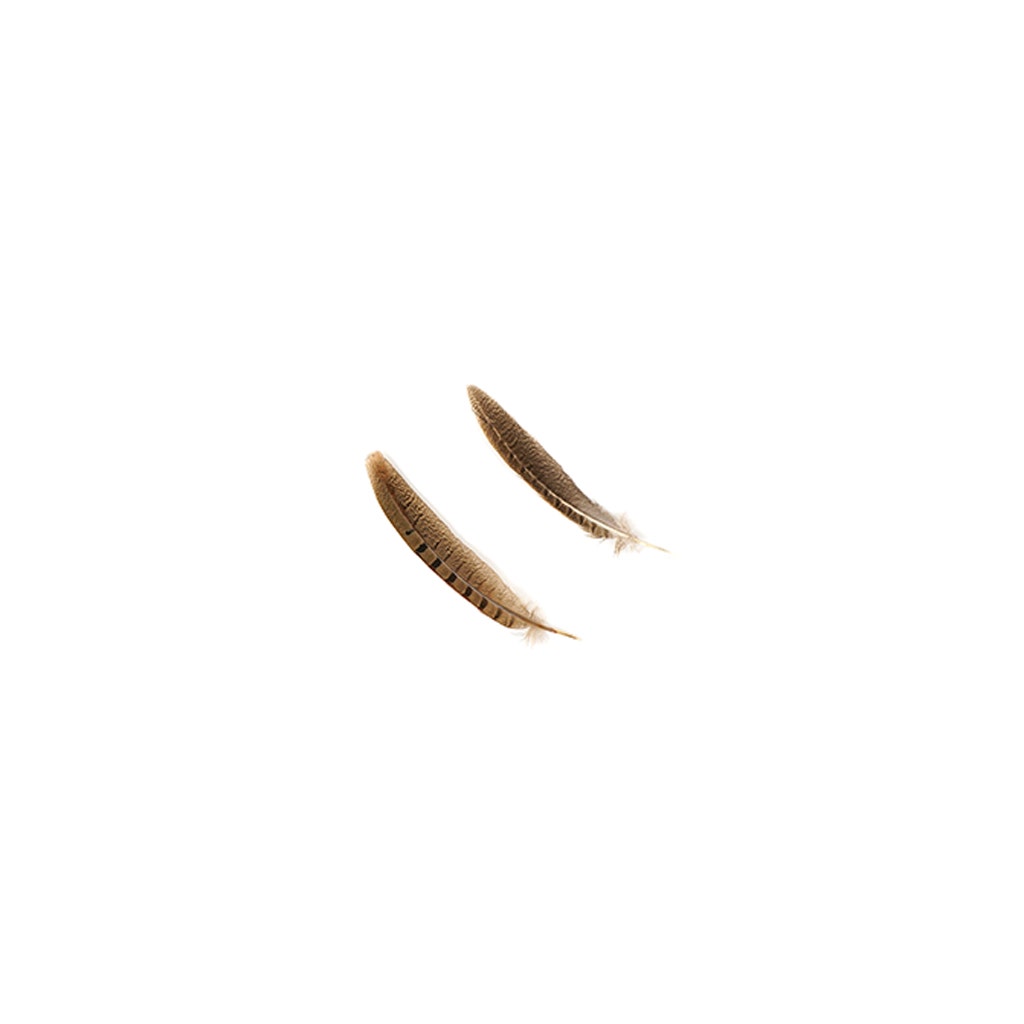 10 PC/PKG RINGNECK PHEASANT TAILS 6-8" - NATURAL