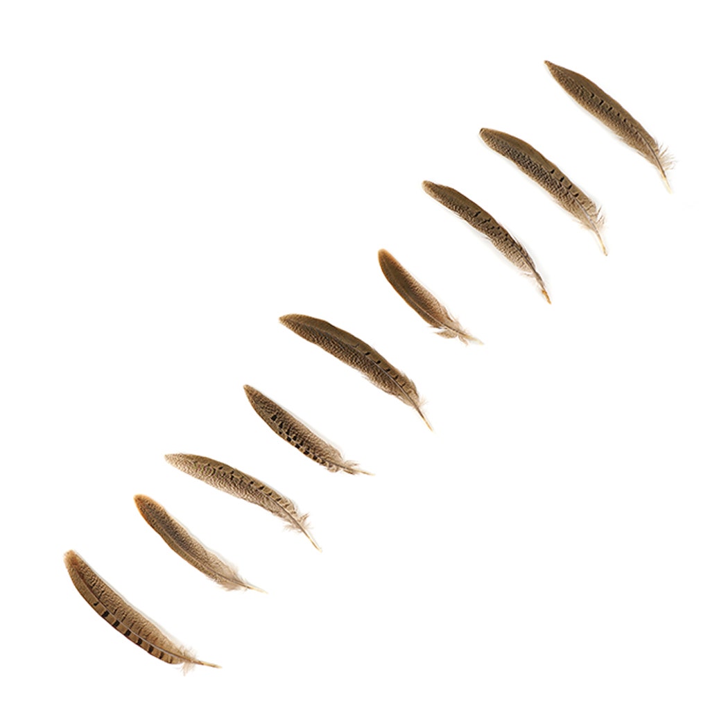 10 PC/PKG RINGNECK PHEASANT TAILS 6-8" - NATURAL