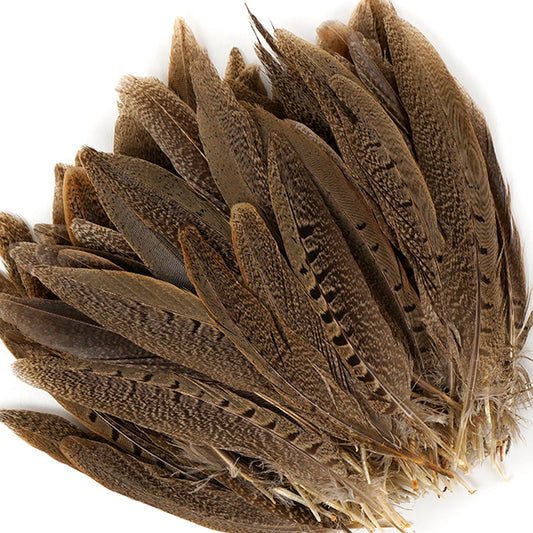 10 PC/PKG RINGNECK PHEASANT TAILS 4-6" - NATURAL