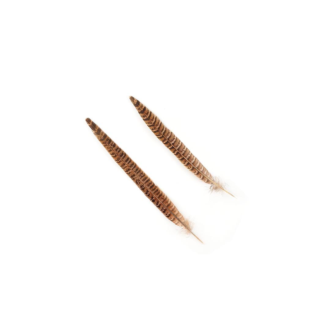 Female Ringneck Pheasant Tails - Natural - 8 - 10"  (100pcs)