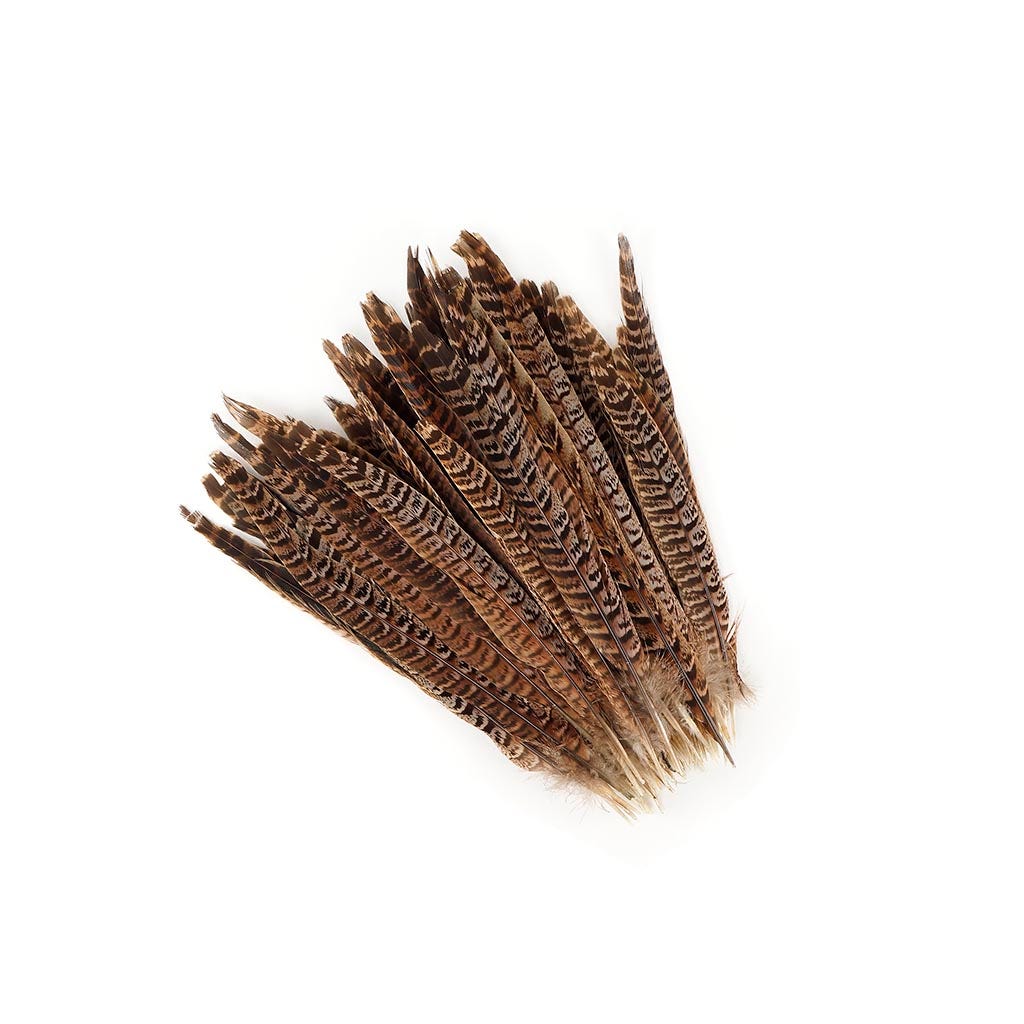 Female Ringneck Pheasant Tails - Natural - 8 - 10"  (100pcs)