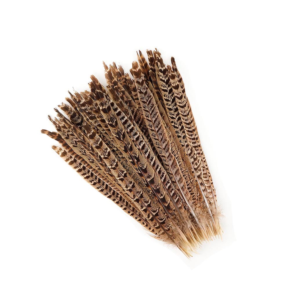 10 PC/PKG Female Ringneck Pheasant Tails 10-12" - Natural