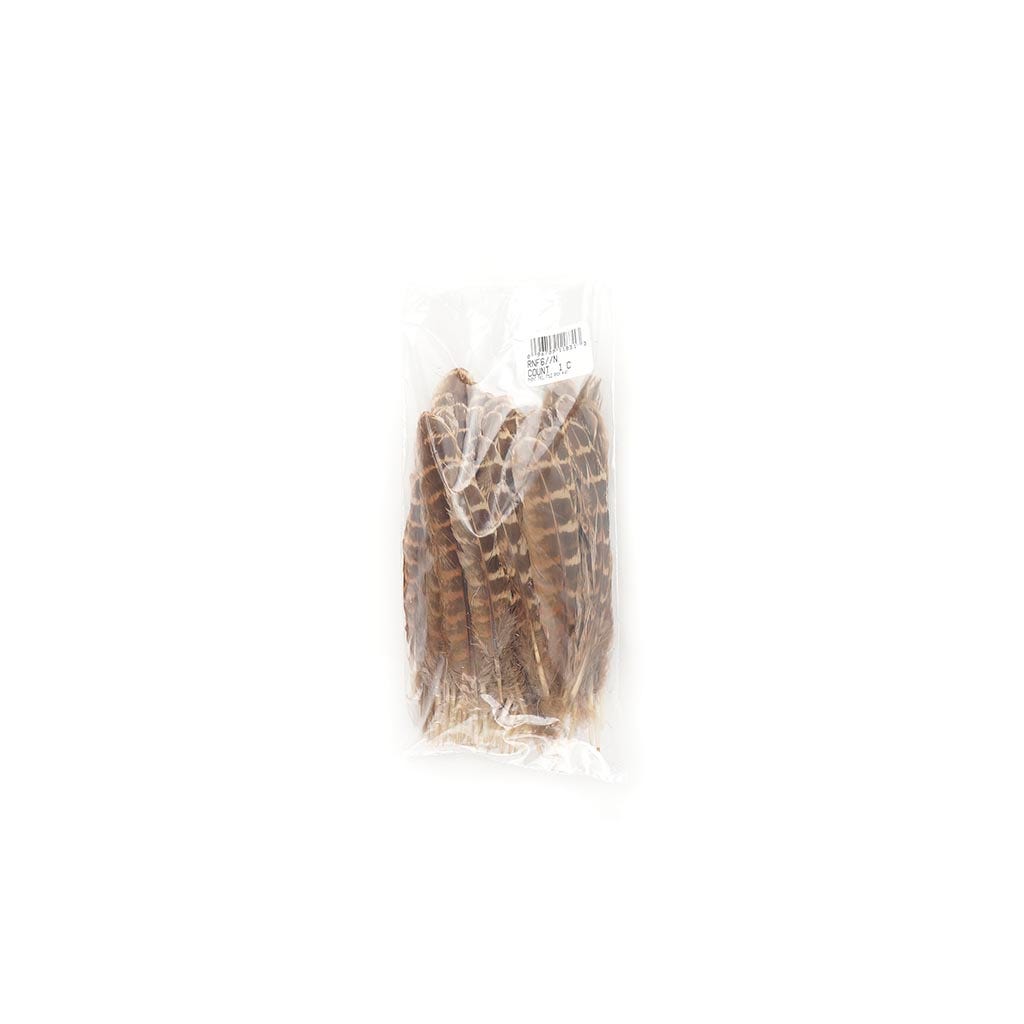Female Ringneck Pheasant Tails - Natural - 4 - 6"  (100pcs)