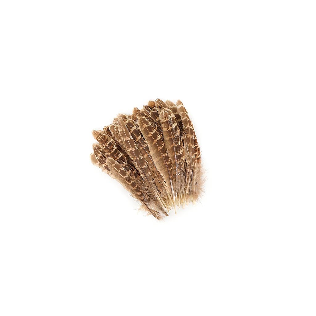 10 PC/PKG Female Ringneck Pheasant Tails 4-6"- Natural
