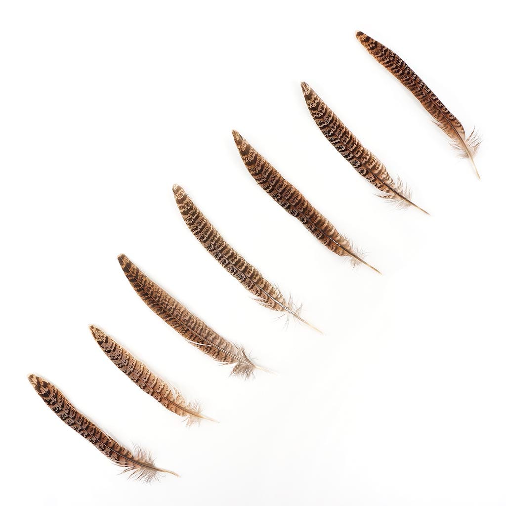 10 PC/PKG Female Ringneck Pheasant Tails 6-8"- Natural