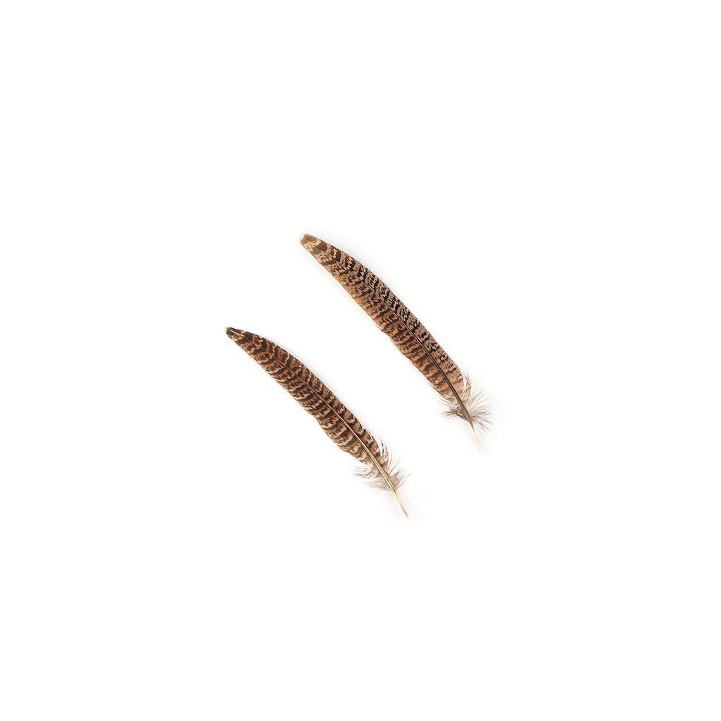 10 PC/PKG Female Ringneck Pheasant Tails 8-10" - Natural