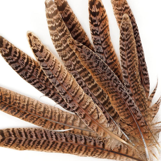 10 PC/PKG Female Ringneck Pheasant Tails 6-8"- Natural