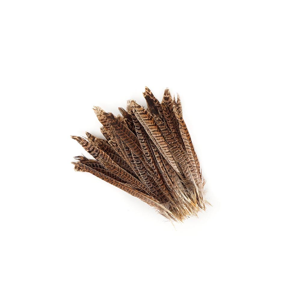 10 PC/PKG Female Ringneck Pheasant Tails 8-10" - Natural