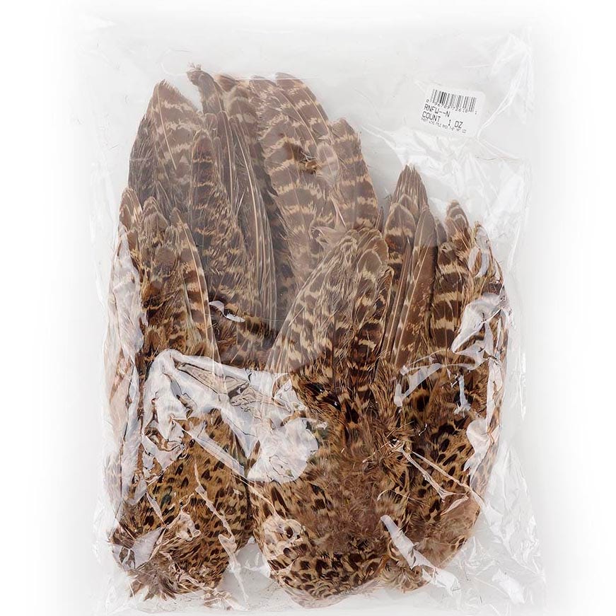 Female Ringneck Pheasant Wing - Natural