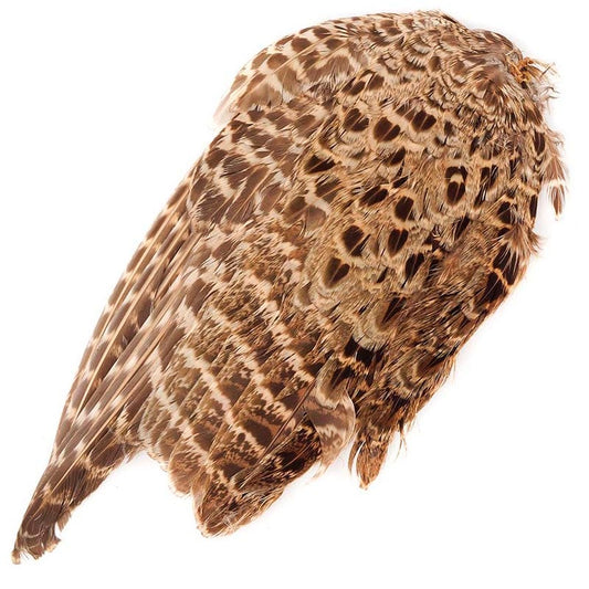 Female Ringneck Pheasant Wing - Natural