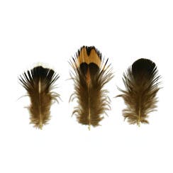 Ringneck Plumage-Blue Almond - Natural - 1.25"- 1.5"