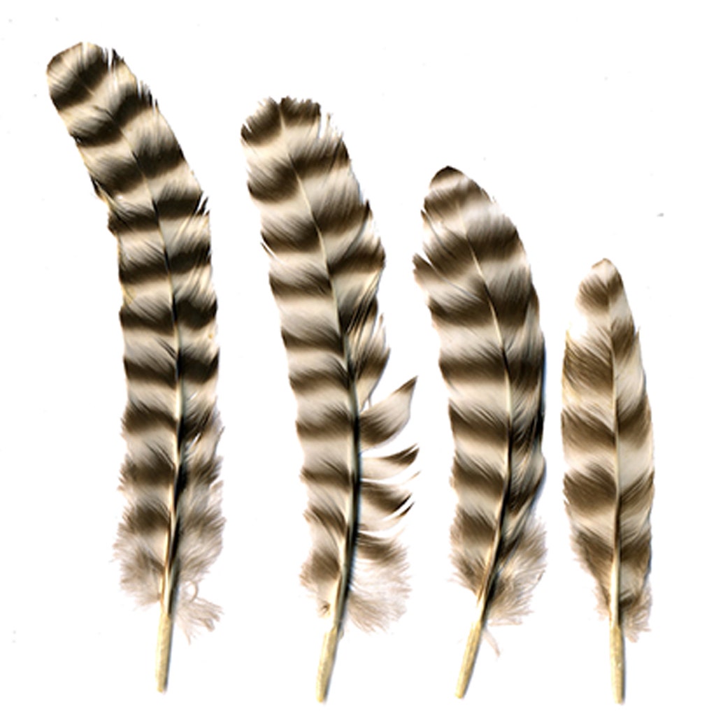 Rooster Chinchilla Rounds - Natural-2-5"